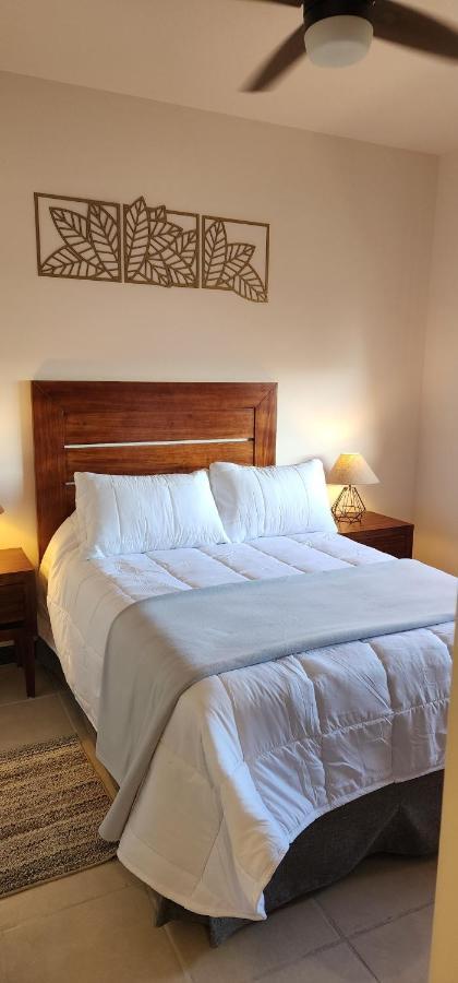 Suites Lomboy & Plaza San Jose del Cabo Bagian luar foto